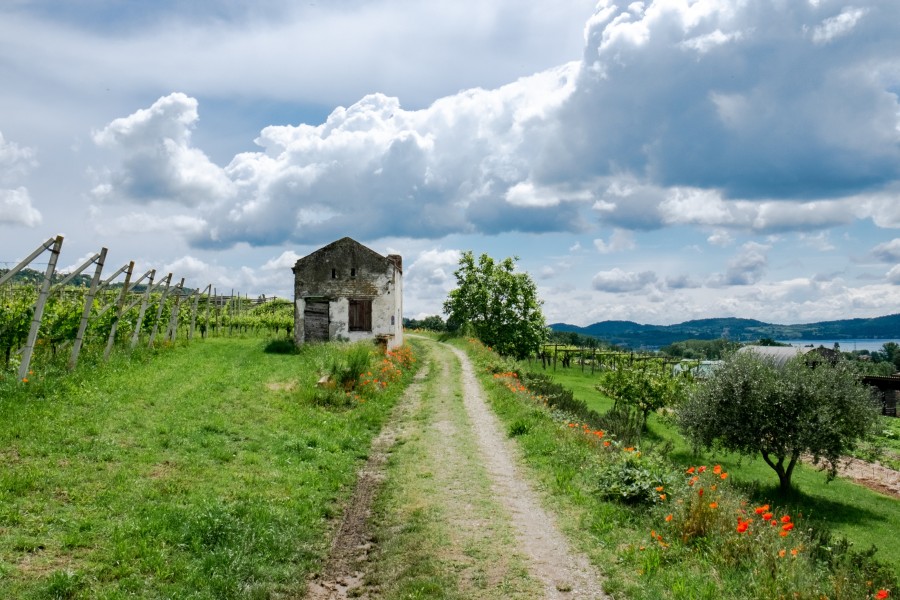 Via Francigena