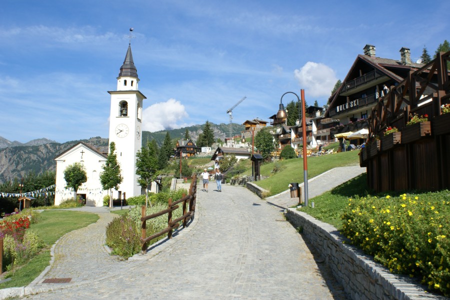 Chamois
